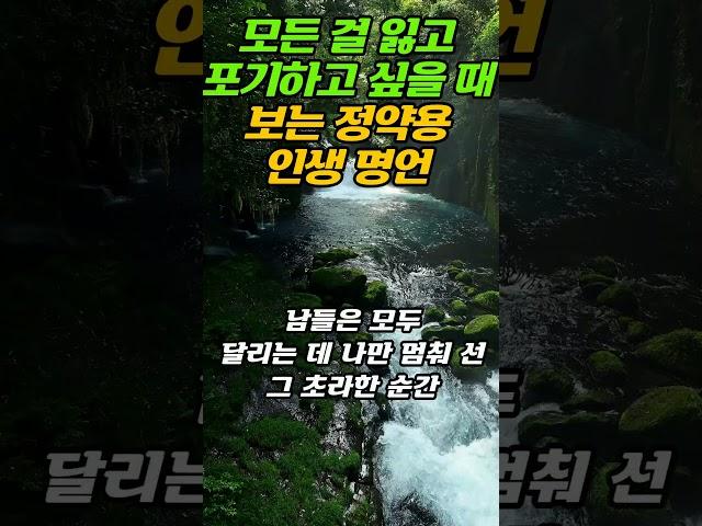 모든 걸 잃고 포기하고 싶을 때 보는 정약용 인생 명언ㅣ명언ㅣ삶의지혜 ㅣ조언#오디오북#지혜#명언#인생#50대#60대#법정#법륜#40대#좋은글#삶#쇼츠#김창옥#부처님#인생조언#방법