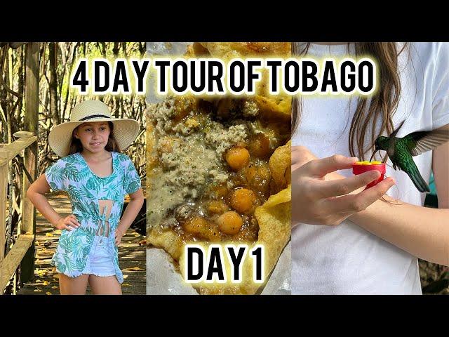 Amazing Tour of Tobago! 4 days of adventure all over this beautiful Caribbean island -Trini Surfer