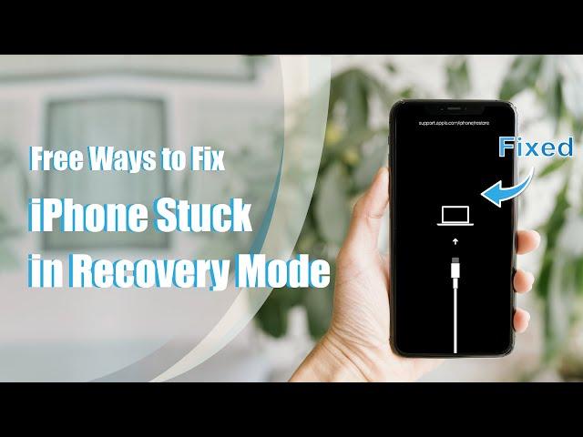 Top 5 Ways to Fix iPhone Stuck in Recovery Mode (iOS 17/16 Supported)