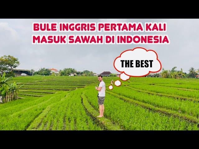 Beli OLEH-OLEH Buat Teman Di Inggris Dan Moment Paling Berkesan Di Bali