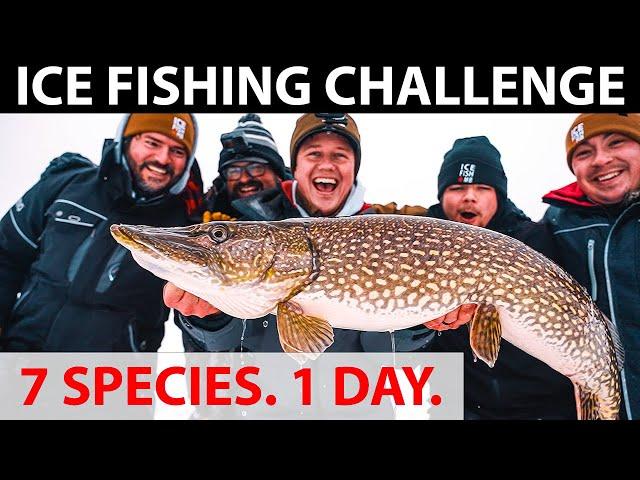 Ultimate Ice Fishing Challenge - BACKCOUNTRY BRAWL (7 Species, 1 Day)