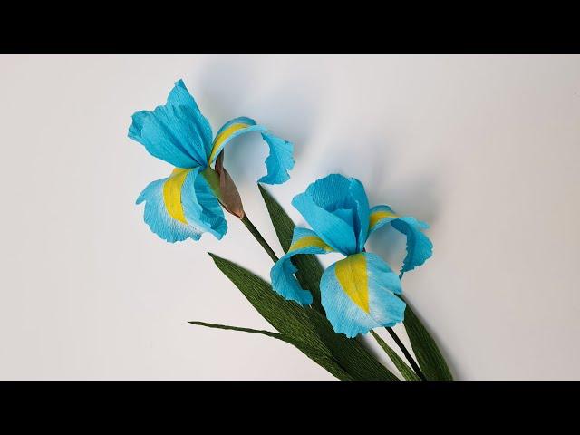 How To Make Iris Paper Flower / Paper Flower / Góc nhỏ Handmade