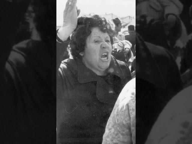 LA INCREÍBLE HISTORIA DE LA CENTRAL TÉRMICA DE ORCASITAS: DOMINGO 02/02 EN EL CASCARÓN DE NUEZ