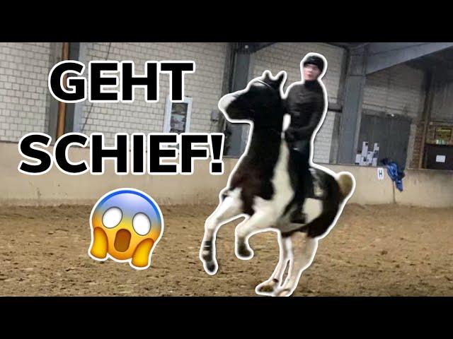 ERSTES MAL SPRINGEN MIT WESTERNPFERD GEHT SCHIEF!!!