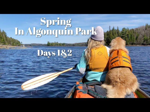 Spring In Algonquin Park, a Four Day Canoe Camping Trip, Trout Fishing and Paddling