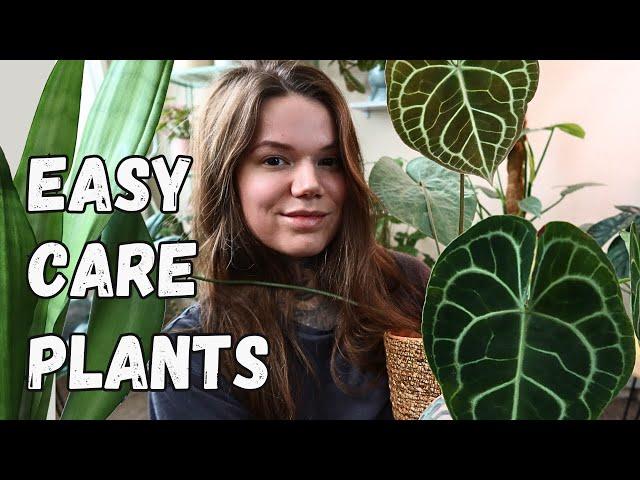 EASY UNCOMMON HOUSEPLANTS | No Fuss Indoor Plants