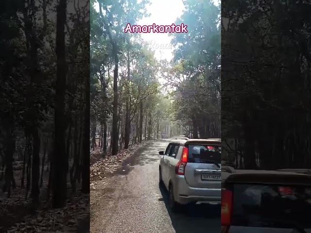 Amarkantak road || short video || Sahil Kumar vlogs02 || 