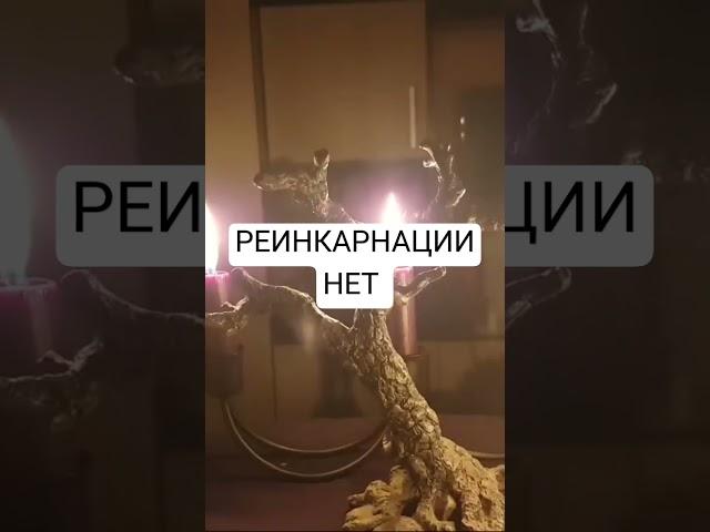 Защита рода пращуры Ведьма Инга Хосроева #ведьминаизба #магия #ингахосроева #ingachosrojeva #род