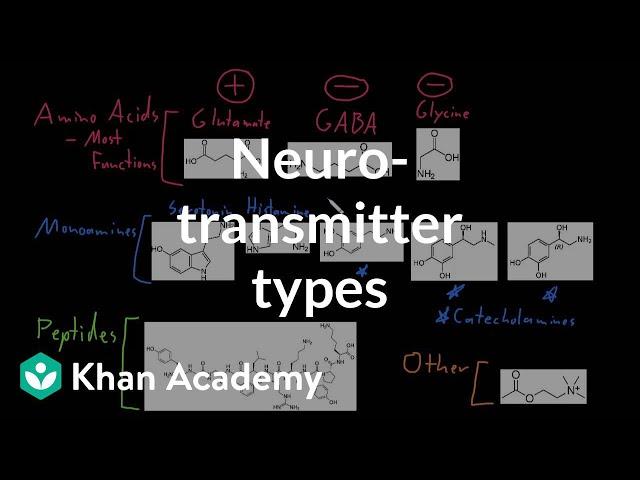 Types of neurotransmitters | Nervous system physiology | NCLEX-RN | Khan Academy