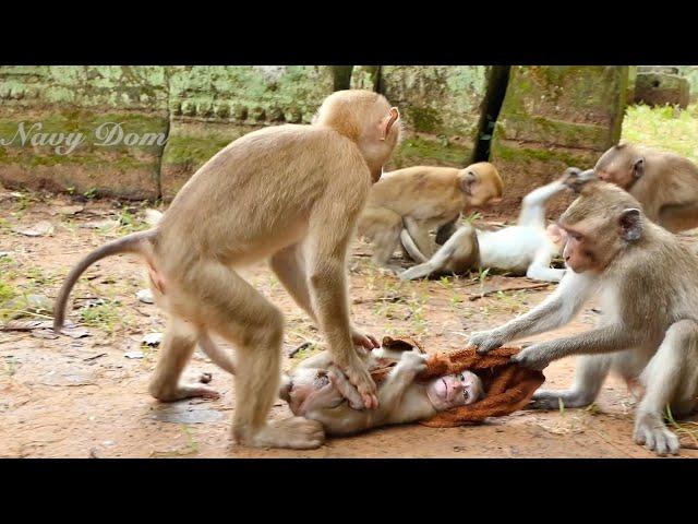 Best action Koca Liza and Calvin try to protect baby Candy from Amber kid