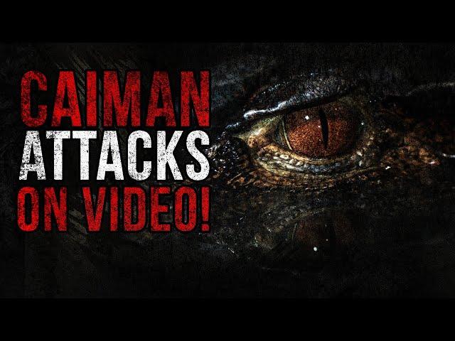 CAIMAN ATTACK Caught On VIDEO! Is This Even REAL?! Viral Video Analysis