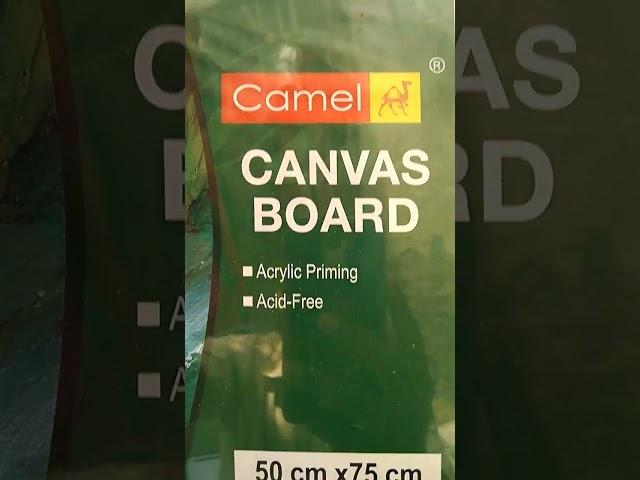 Rs 350 Canvas Board  Camel size 30x20 inch