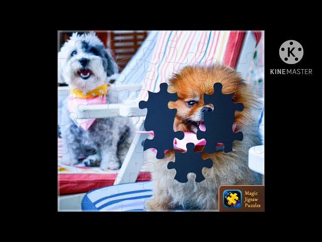 Magic Jigsaw Puzzles - Adorable Pups