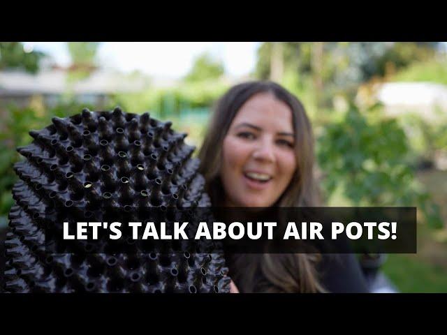  Let's Talk About Air-Pots & Air Pruning Containers // Coast To Coast Home And Garden 