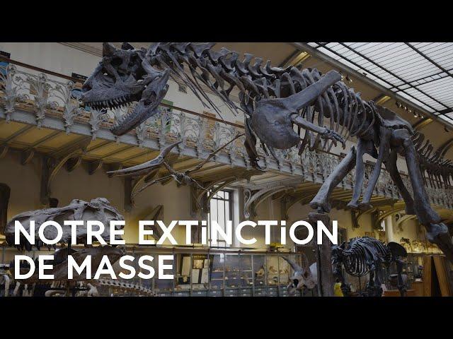 Qu'est-ce-que l'extinction de masse ? - Un Regard sur Terre