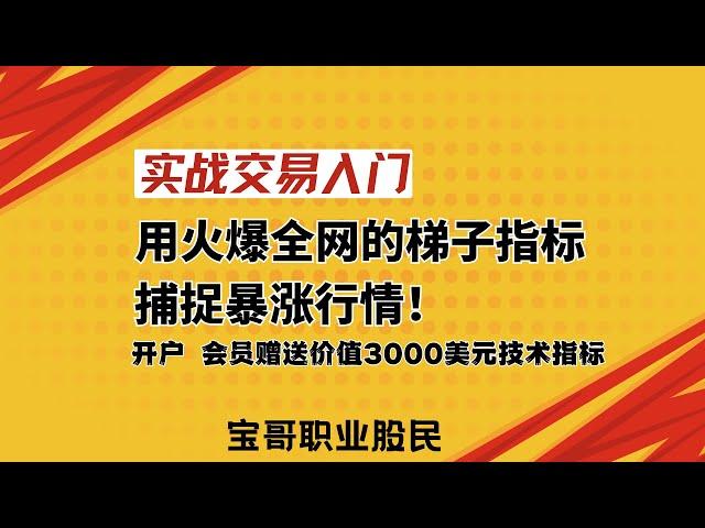 实战交易入门：用火爆全网的梯子指标捕捉暴涨行情！开户 会员赠送价值3000美元技术指标！05252025 #美股 #數字貨幣