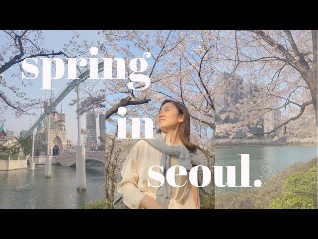 seoul vlog//브이로그  cherry blossoms, acting classes, living alone #koreavlog #livinginkorea #seoul