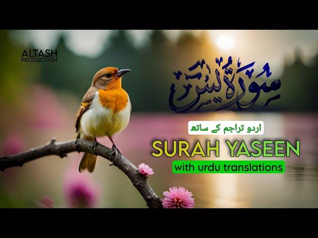 Surah Yasin (Yaseen) With Translation ️ - Episode 4 - Soulful Voice - Altash Production