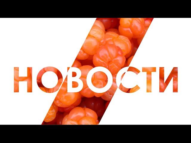 Новости: Первенство по скалолазанию, Кастинг Мисс ИИЯ, Мисс медина