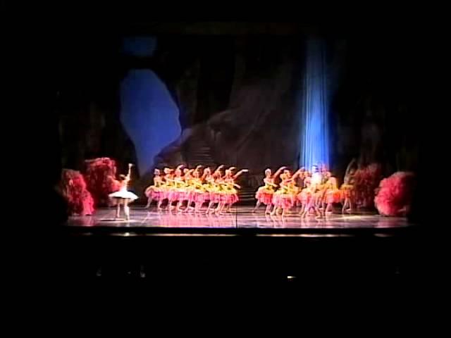 ANDREA KRAMESOVA & ADAM ZVONAR in Sleeping Beauty 2nd act pdd.mp4