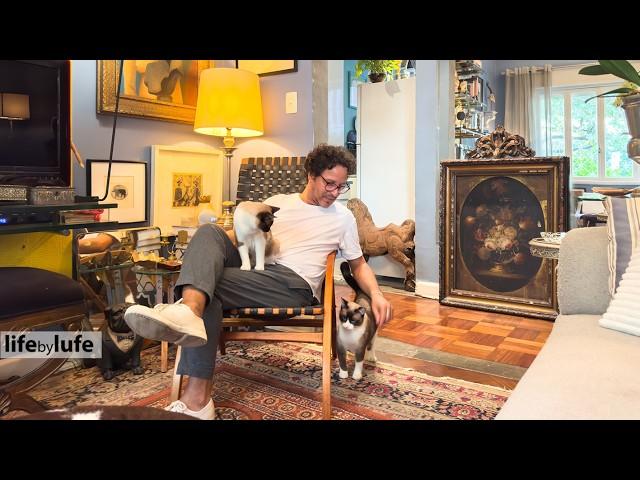 CATS AND DECORATION - COMPACT APARTMENT IN A CENTENNIAL BUILDING - MAXIMALIST AND ORGANIZED DECOR