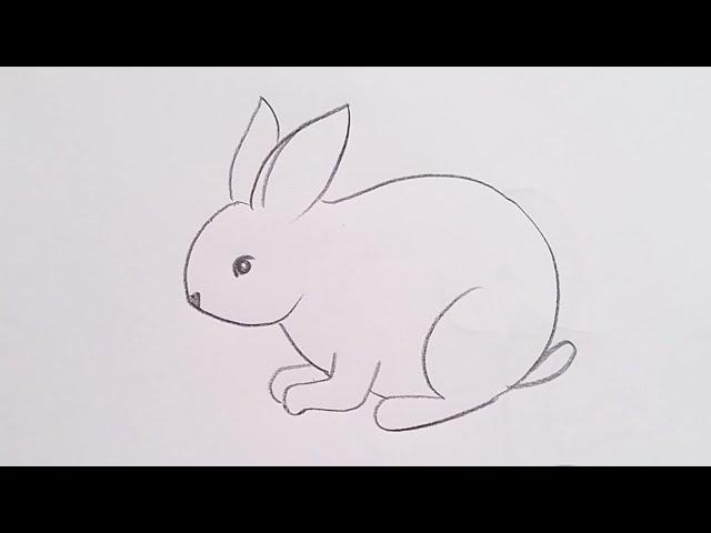how to draw rabbit drawing easy step by step@aaravdrawingcreative1112