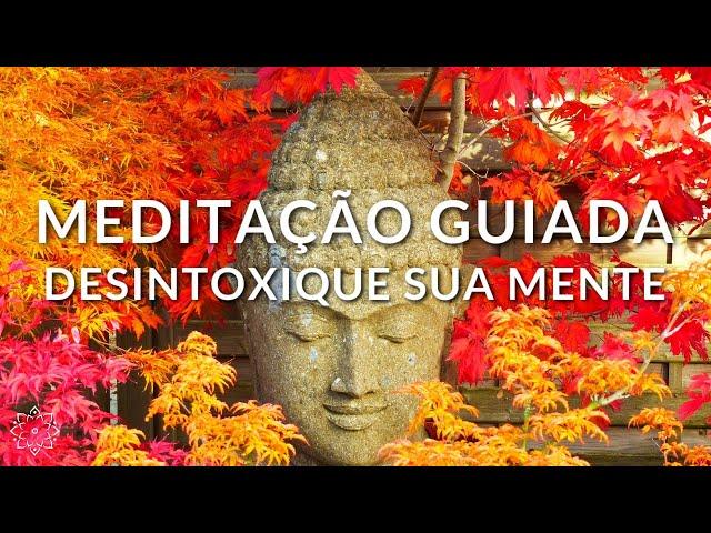 MEDITAÇÃO GUIADA: DESINTOXIQUE SUA MENTE (LIMPEZA DOS PENSAMENTOS LIMITANTES)