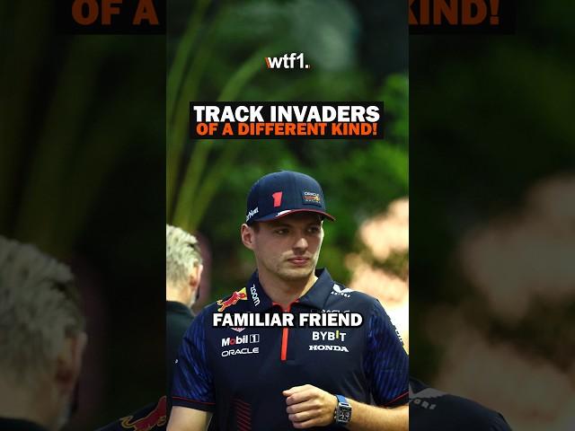 We Saw A Familiar Friend On Track Today 