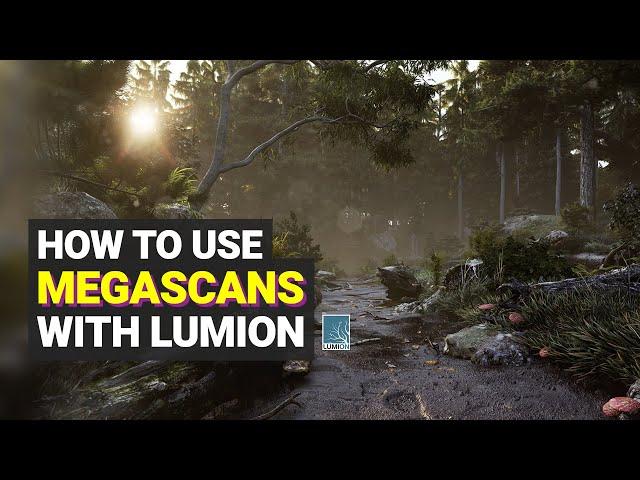 How to use Megascans with Lumion – Quixel Megascans and PBR Materials