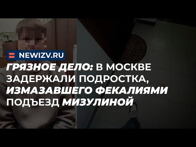 Грязное дело: в Москве задержали подростка, измазавшего фекалиями подъезд Мизулиной