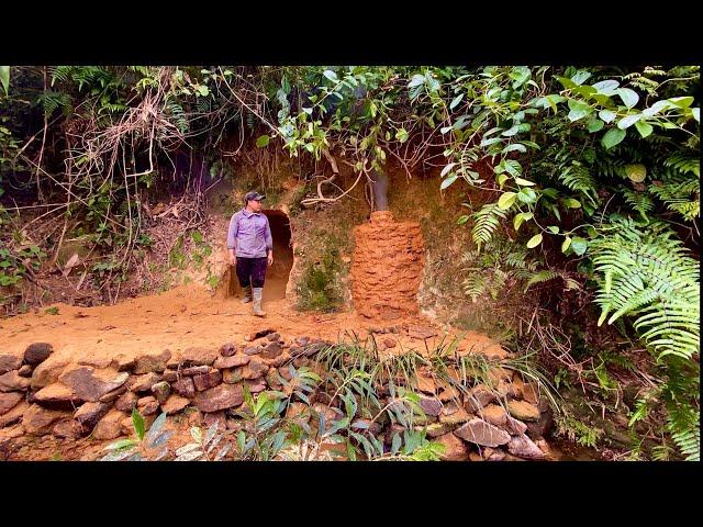 5-day solo building a jungle shelter for survival