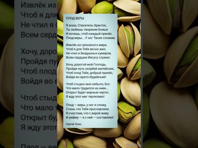 ПЛОД ВЕРЫ @ ХРИСТИАНСКИЕ СТИХИ ️