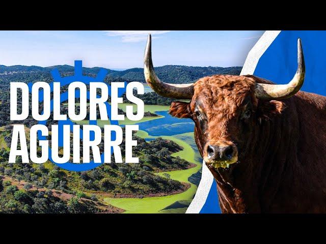 GANADERIA DOLORES AGUIRRE - El TORO en Dehesa Frías