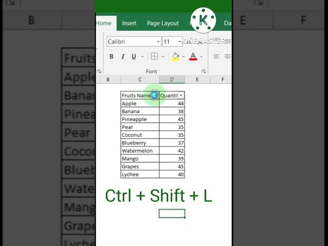 Shortcut keys to apply filter in Ms Excel