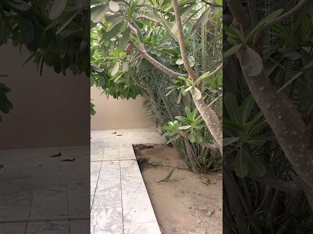 صيغ الاستغفار