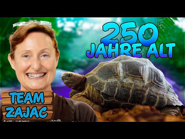 250 JAHRE ALTE SCHILDKRÖTE? | Zoo Zajac