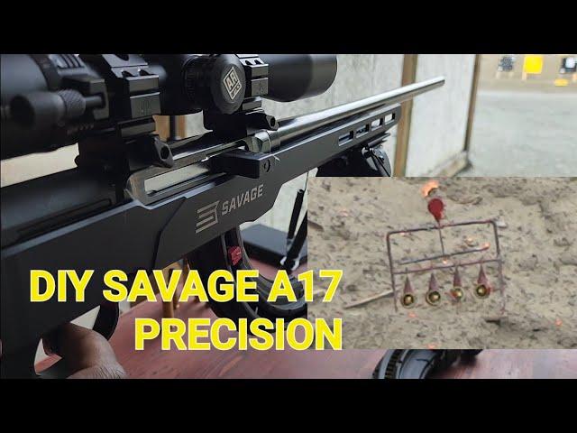 Savage A17... Precision?!?! Quick 1 - 200 yard 17 HMR shots