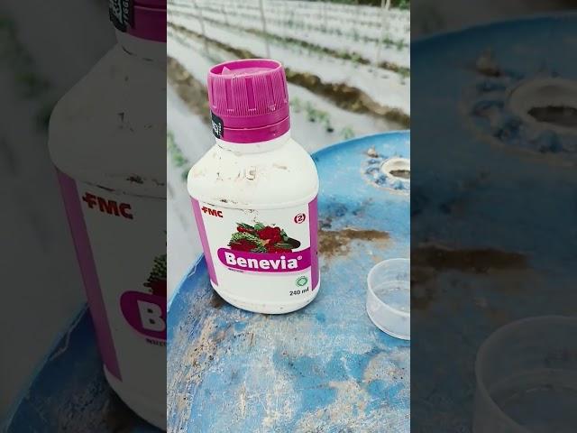 FMC benevia insecticide