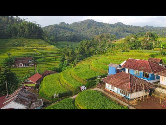 Hanya Ada Di JAWA BARAT, Kampung Terindah Terbersih Seperti Lukisan. Pagi Hari Di Pedesaan Garut