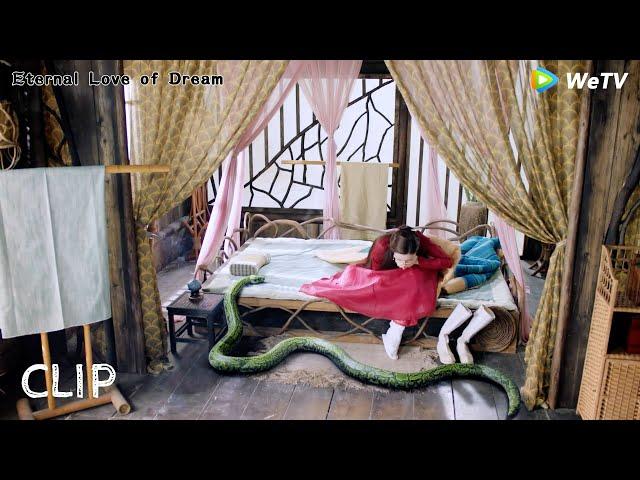 Fengjiu is afraid of snakes, but when she wakes up, she finds herself sleeping next to a snake