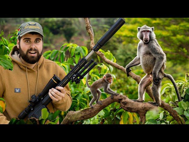 10 Day African Safari | Monkey CATCH & COOK