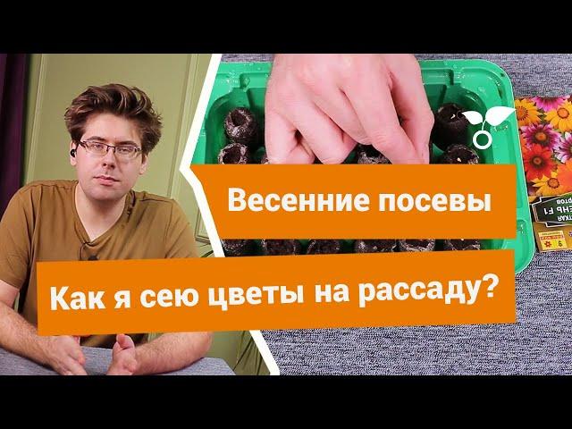 Весенний посев цветов на рассаду