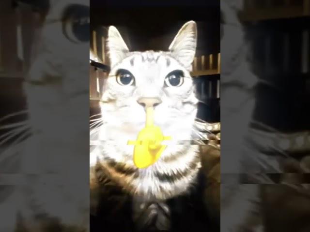 cat #arsh #rizz #mewing#funny
