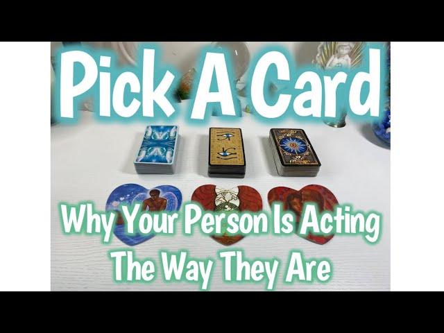 Pick A Card Why Your Person Is Acting The Way They Are