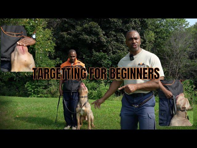 Master Target Training for Dogs: Beginner's Guide with Gemini K9 Obedience Inc.!