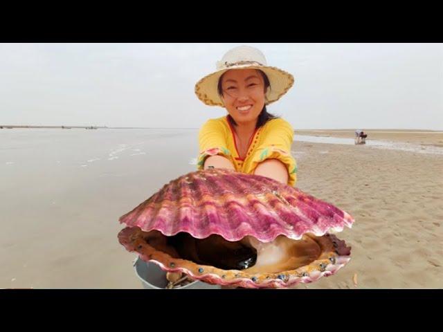 Seafood grows wildly, Ying catches some shellfish and makes traditional dishes。