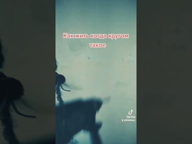 Неадекватные соседи #прикол #смех #шутка #рек #faslyt