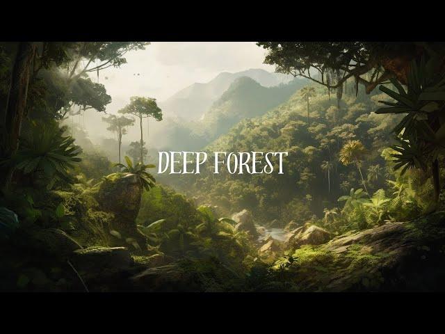 "Jungle Serenity: Ambient Soundscape for Relaxation and Nature Retreat"