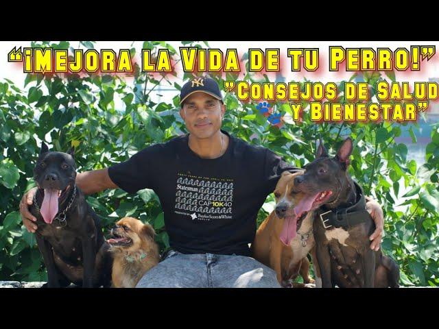 "¡Transforma la Vida de tu Perro! Consejos de Salud y Bienestar Canino" ‍