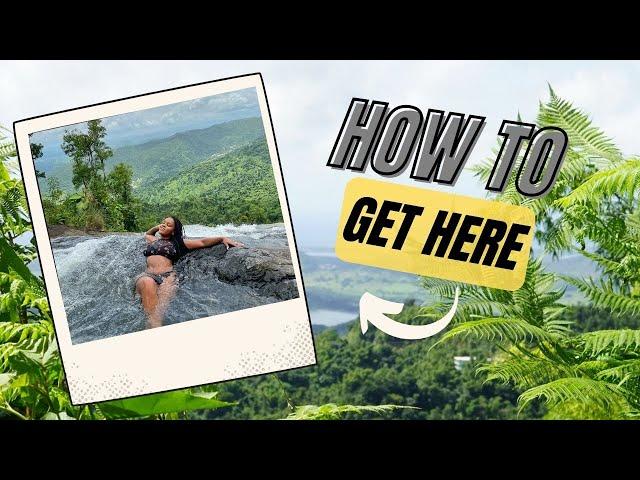 How to Get to the EL YUNQUE INFINITY POOL unguided | Best Hike in El Yunque Rainforest, Puerto Rico